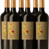 6 Cupidos